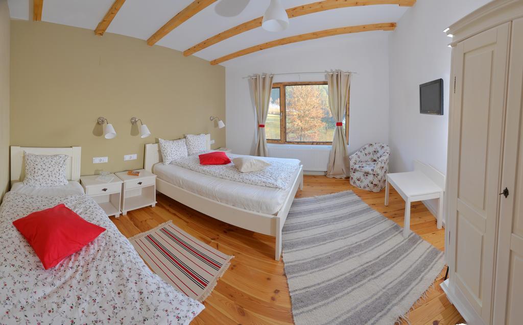 Hotel Talhaus à Vişeu de Sus Extérieur photo